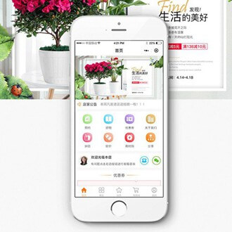 东丽门店微商城小程序开发