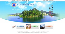 东丽科技创新服务平台