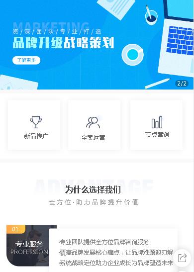 东丽咨询策划小程序开发