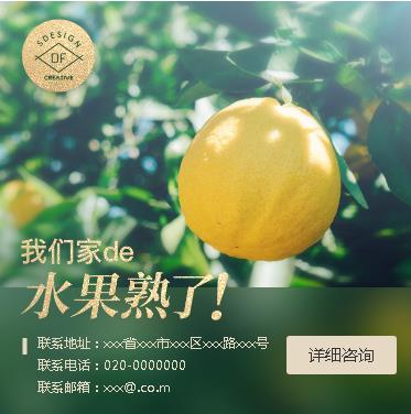 东丽果园果林小程序开发